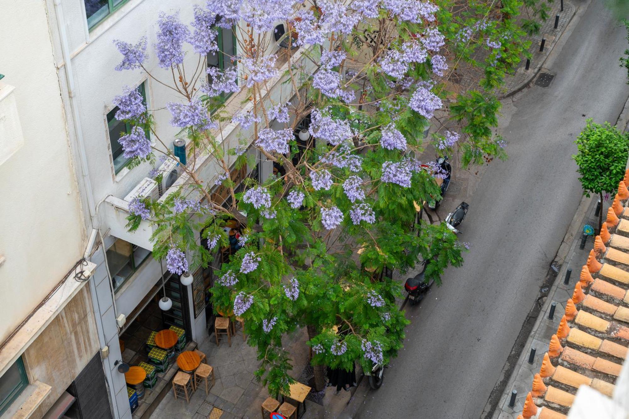 Hestia - Kolokotroni 23 Hotel Atenas Exterior foto